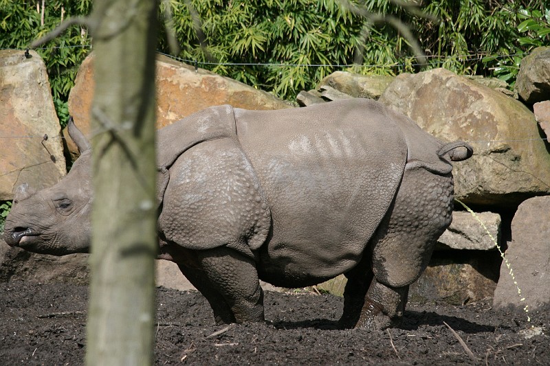 Fotoclubje Blijdorp 2008-43.jpg